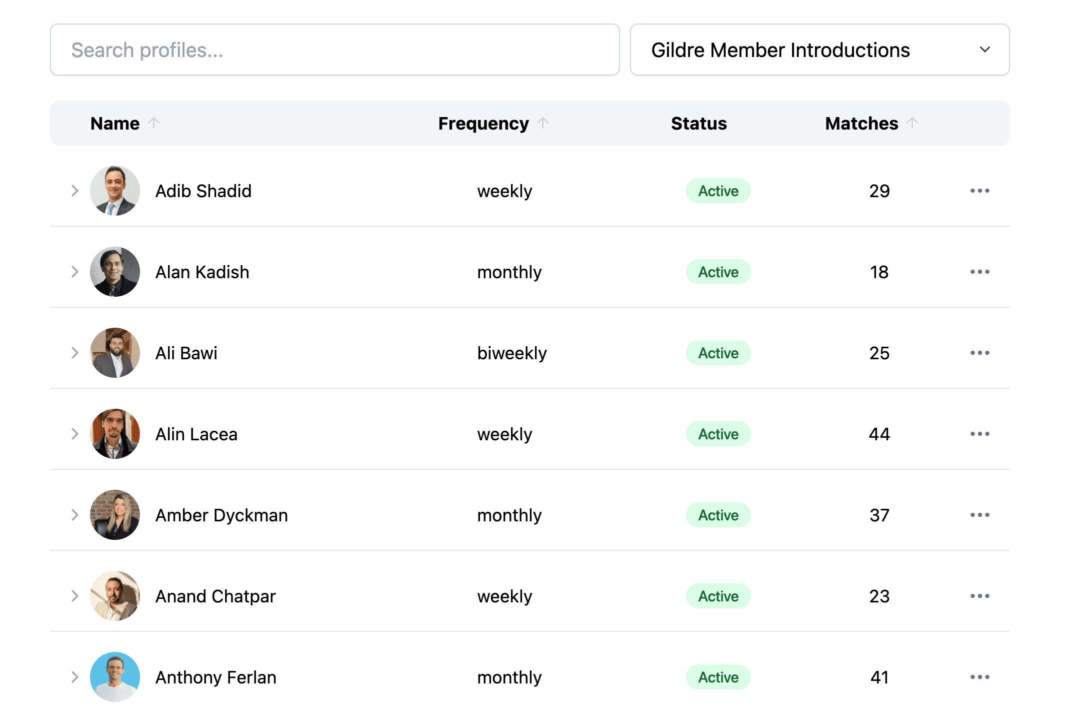 Auto Matching product preview